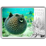 Silver Ounce 2013 Pufferfish: Photo Coin, Niue, Silver Ounce 2013 Pufferfish / thumbnail