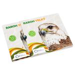 Silver Half Ounce 2015 Saker Falcon: Photo Coin, Niue, Silver Half Ounce 2015 Saker Falcon / thumbnail