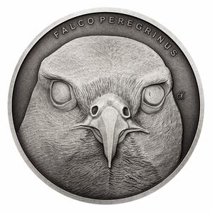 Niue / Silver Ounce 2019 Animal Champions - Falcon - reverse photo