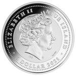 Silver Ounce 2021 Tree of Luck: Photo Coin, Niue, Silver Ounce 2021 Tree of Luck / thumbnail