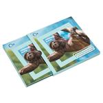 Silver Ounce 2020 Animal Champions - Sloth: Photo Coin, Niue, Silver Ounce 2020 Animal Champions - Sloth / thumbnail