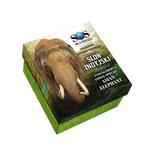 One Dollar Silver 2016 Asian Elephant: Photo Coin, Niue, One Dollar Silver 2016 Asian Elephant / thumbnail