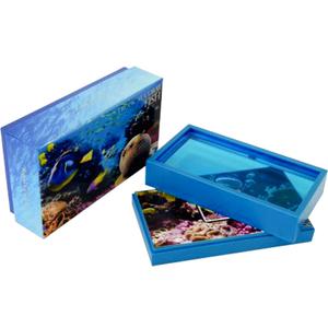 Niue / Silver Ounce 2013 Royal Gramma Fish - obverse photo