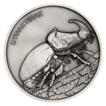 Silver Ounce 2020 Animal Champions - Rhinoceros Beetle: Photo Coin, Niue, Silver Ounce 2020 Animal Champions - Rhinoceros Beetle / thumbnail