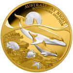 Gold Ounce 2025 Australia at Night - Bottlenose Dolphin: Photo Coin, Niue, Gold Ounce 2025 Australia at Night - Bottlenose Dolphin / thumbnail