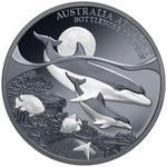 Silver Ounce 2025 Australia at Night - Bottlenose Dolphin: Photo Coin, Niue, Silver Ounce 2025 Australia at Night - Bottlenose Dolphin / thumbnail