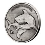Silver Ounce 2020 Animal Champions - Shark: Photo Coin, Niue, Silver Ounce 2020 Animal Champions - Shark / thumbnail