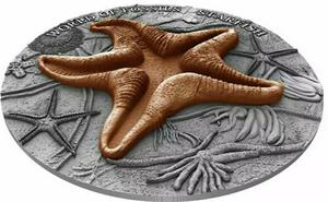 Niue / Silver Two Ounces 2019 Starfish - obverse photo
