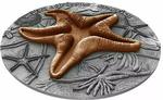 Silver Two Ounces 2019 Starfish: Photo Coin, Niue, Silver Two Ounces 2019 Starfish / thumbnail