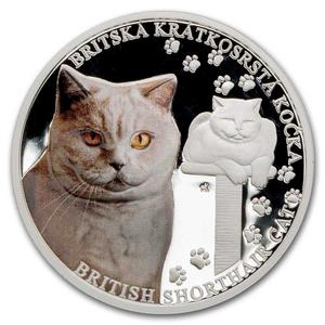 Niue / Silver Ounce 2024 Cat Breeds - British Shorthair - reverse photo