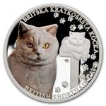 Silver Ounce 2024 Cat Breeds - British Shorthair: Photo Coin, Niue, Silver Ounce 2024 Cat Breeds - British Shorthair / thumbnail