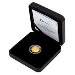 Gold Tenth-Ounce 2021 Just You Wait - In the Amusement Park: Photo Coin, Niue, Gold Tenth-Ounce 2021 Just You Wait - In the Amusement Park / thumbnail
