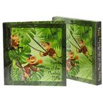 Silver Ounce 2016 Happy Year of the Monkey: Photo Coin, Niue, Silver Ounce 2015 Happy Year of the Monkey / thumbnail