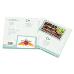 Silver Ounce 2020 Animal Champions - Rhinoceros Beetle: Photo Coin, Niue, Silver Ounce 2020 Animal Champions - Rhinoceros Beetle / thumbnail