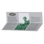 Silver Ounce 2019 Vietnam War: Photo Coin, Niue, Silver Ounce 2019 Vietnam War / thumbnail