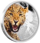 Silver Ounce 2016 Kings of the Continents - Jaguar: Photo Coin, Niue, Silver Ounce 2016 Kings of the Continents - Jaguar / thumbnail