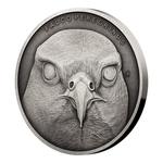 Silver Ounce 2019 Animal Champions - Falcon: Photo Coin, Niue, Silver Ounce 2019 Animal Champions - Falcon / thumbnail