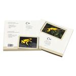 Silver Ounce 2019 Animal Champions - Golden Poison Frog: Photo Coin, Niue, Silver Ounce 2019 Animal Champions - Golden Poison Frog / thumbnail