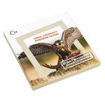 Silver Ounce 2019 Animal Champions - Falcon: Photo Coin, Niue, Silver Ounce 2019 Animal Champions - Falcon / thumbnail