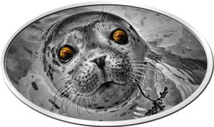 Niue / Silver Ounce 2018 Animal Skins - Pinniped - reverse photo