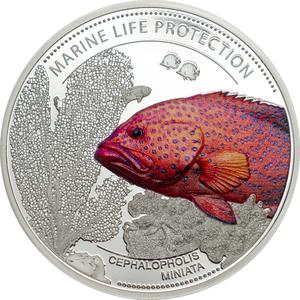 Palau / Five Dollars Silver 2016 Coral Hind - reverse photo
