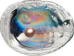 Silver Three Ounces 2016 Haliotis Ovina: Photo Coin, Palau, Five Dollars Silver 2016 Haliotis Ovina / thumbnail