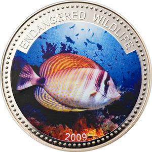 Palau / One Dollar 2009 Sailfin Tang - reverse photo