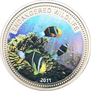 Palau / One Dollar 2011 Anemonefish - Endangered Wildlife - reverse photo