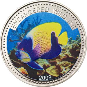 Palau / One Dollar 2009 Blue-girdled Angelfish - reverse photo