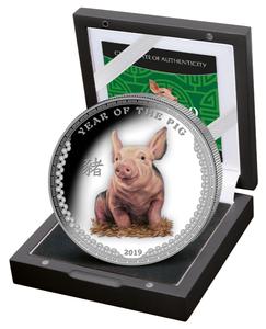 Palau / Silver Ounce 2019 Year of the Pig - obverse photo