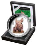 Silver Ounce 2019 Year of the Pig: Photo Coin, Palau, Silver Ounce 2019 Year of the Pig / thumbnail