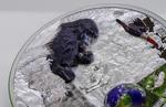 Silver Two Ounces 2021 Earth Ecosystems - Rainforest: Photo Coin, Palau, Silver Two Ounces 2021 Earth Ecosystems - Rainforest / thumbnail