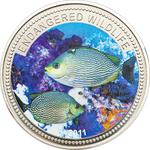 One Dollar 2011 Streaked Spinefoot: Photo Coin, Palau, One Dollar 2011 Streaked Spinefoot / thumbnail