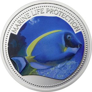 Palau / One Dollar 2007 Surgeonfish - reverse photo