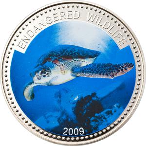 Palau / One Dollar 2009 Green Turtle - reverse photo