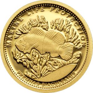 Palau / One Dollar Gold 2011 Anemonefish - reverse photo