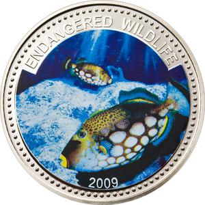 Palau / One Dollar 2009 Clown Triggerfish - reverse photo