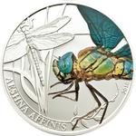 Silver Half Ounce 2010 Dragonfly: Photo Coin, Palau, Silver Half Ounce 2010 Dragonfly / thumbnail