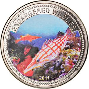 Palau / One Dollar 2011 Endangered Wildlife - reverse photo