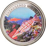One Dollar 2011 Endangered Wildlife: Photo Coin, Palau, One Dollar 2011 Endangered Wildlife / thumbnail
