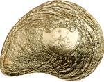 Palau / Five Dollars Silver 2014 Hyriopsis Cumingii / Gilded - obverse photo