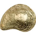 Palau / Five Dollars Silver 2014 Shell and Pearl / Gilded - obverse photo
