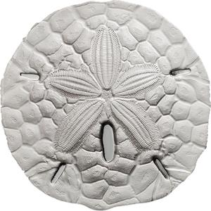 Palau / Silver Ounce 2017 Sand Dollar - reverse photo