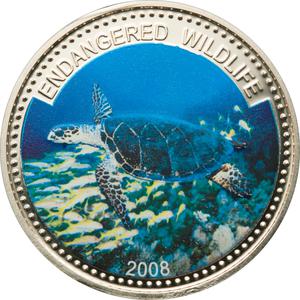 Palau / One Dollar 2008 Hawksbill Turtle - reverse photo