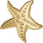 One Dollar Gold Special Shape - Golden Starfish: Photo Coin, Palau, One Dollar Gold Special Shape - Golden Starfish / thumbnail