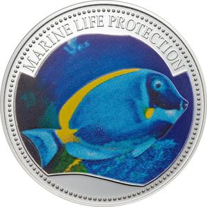 Palau / Five Dollars Silver 2007 Surgeonfish - reverse photo