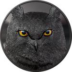 Silver Kilo 2022 Eagle Owl: Photo Coin, Palau, Silver Kilo 2022 Eagle Owl / thumbnail