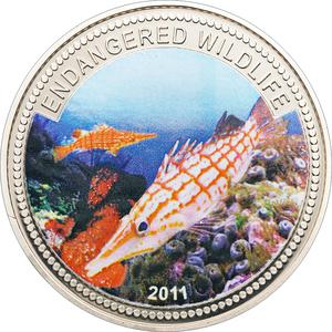 Palau / One Dollar 2011 Longnose Hawkfish - reverse photo