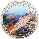 One Dollar 2011 Longnose Hawkfish: Photo Coin, Palau, One Dollar 2011 Longnose Hawkfish / thumbnail