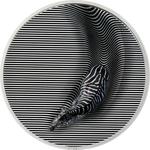 Silver Three Ounces 2023 Camouflage of Nature - Zebra: Photo Coin, Palau, Silver Three Ounces 2023 Camouflage of Nature - Zebra / thumbnail
